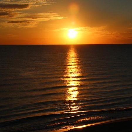 Apartamento Guardamar De La Safor Playa de Miramar Exteriör bild